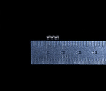NAS01